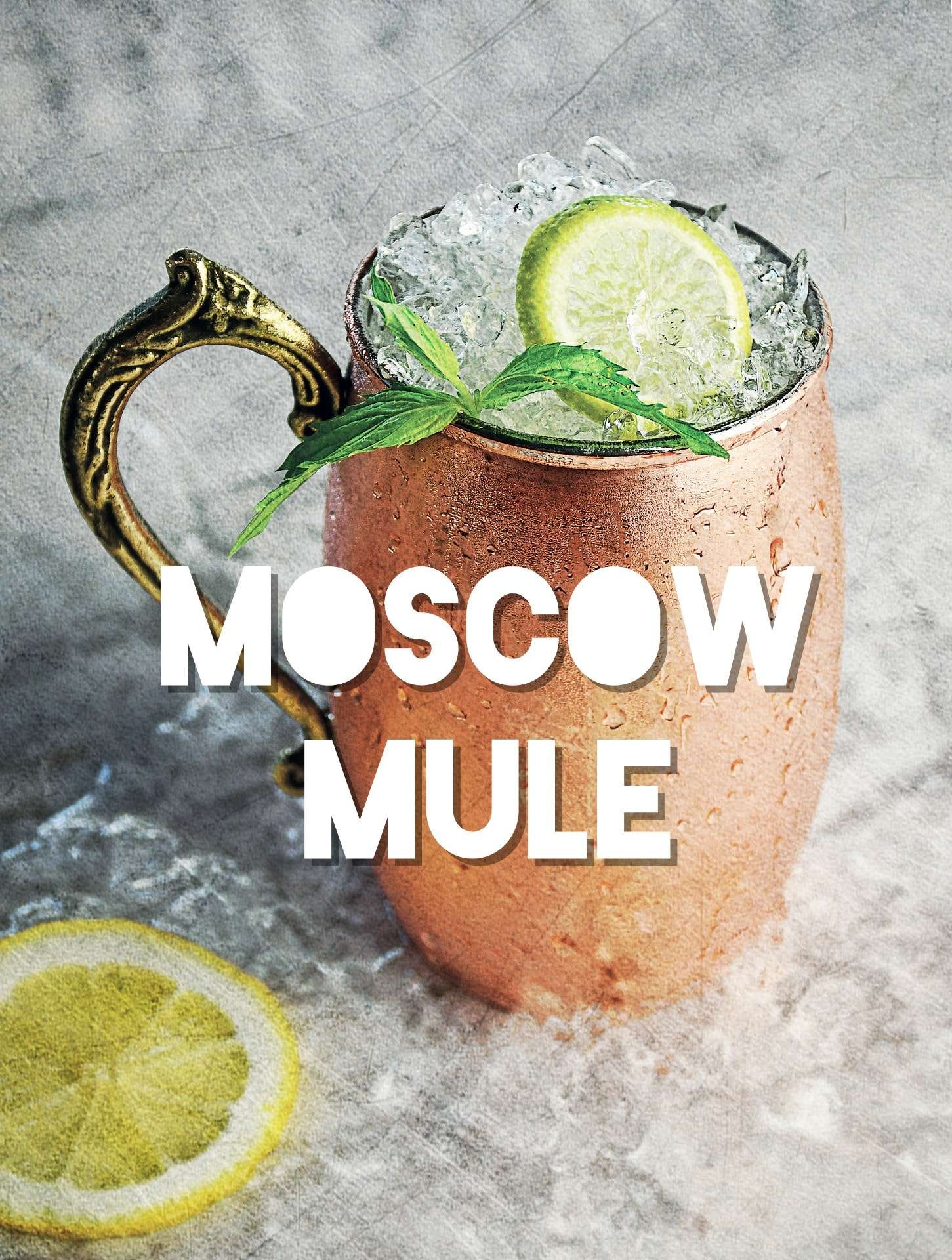 54. Moscow MuleCocktail | kiwistore E-commerce per il tuo bar 54. Moscow MuleCocktail | kiwistore E-commerce per il tuo bar